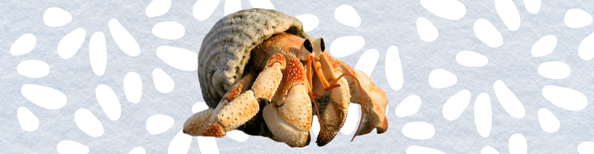 blog-feature-image