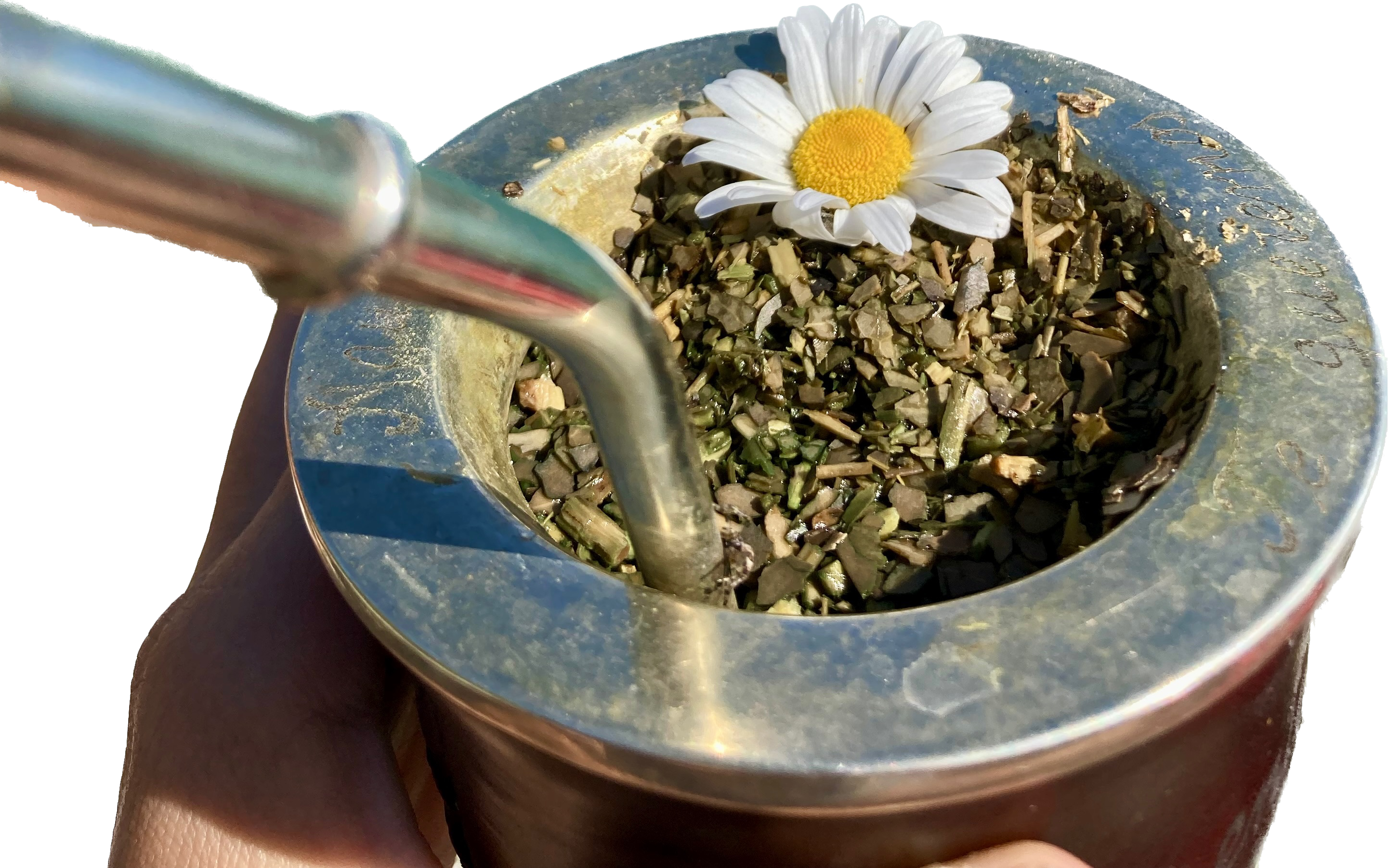 Mate